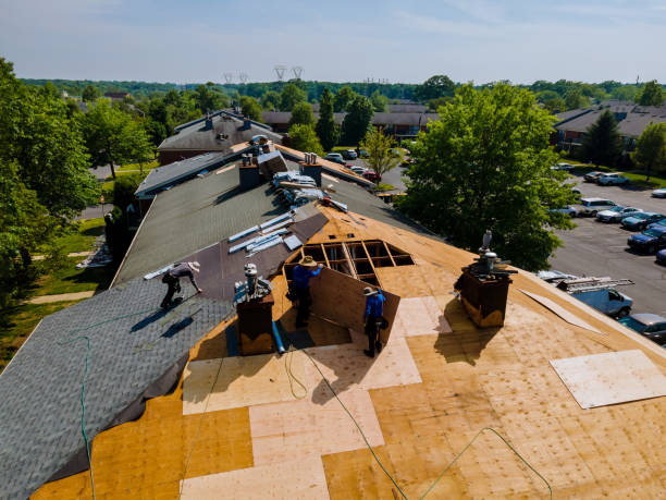 Trusted Roof Replacement service in Lattimer Mines, PA - Brentwood Metal Roofing